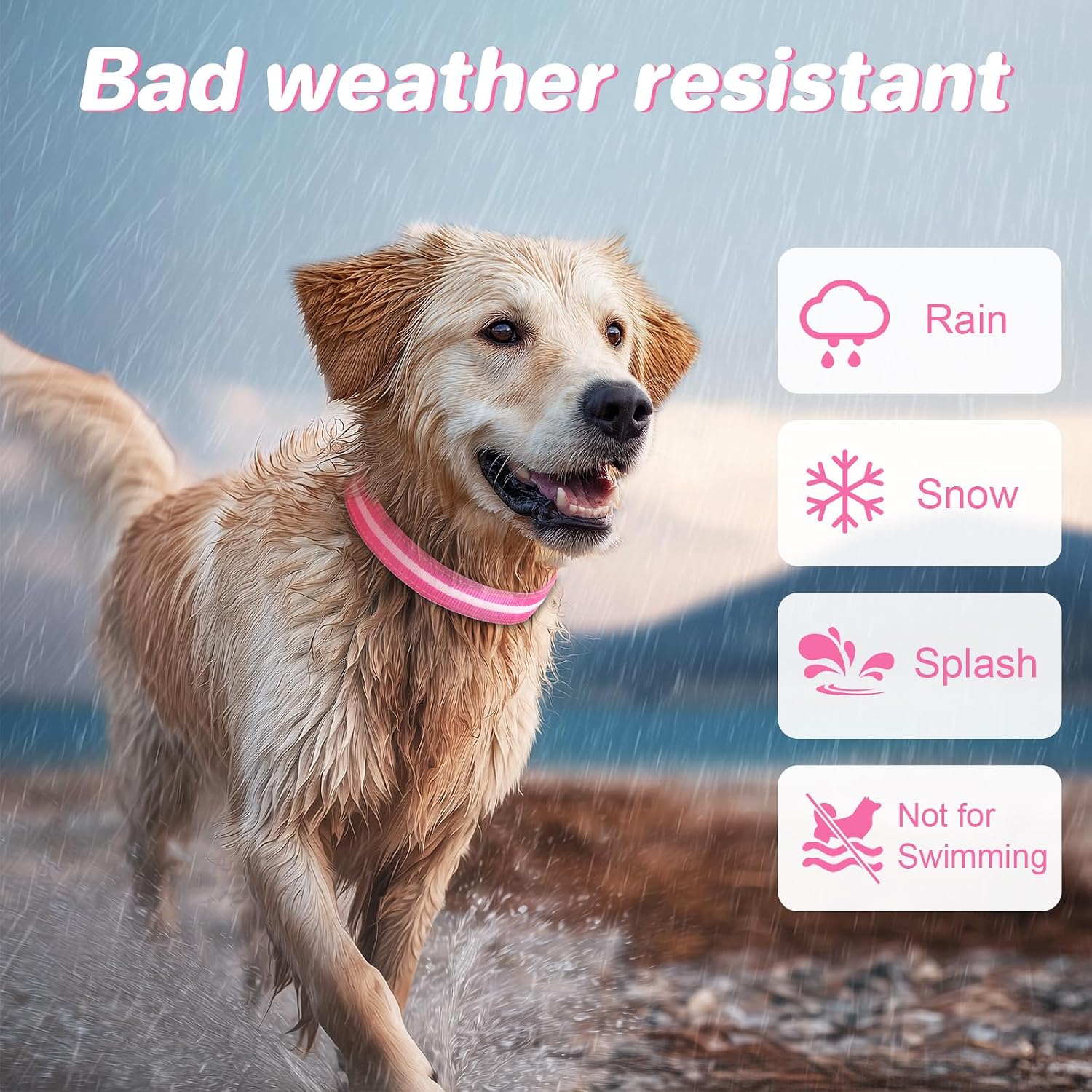 PcEoTllar Light Up Dog Collar, Glow in The Dark for Night Walking, Pink, M